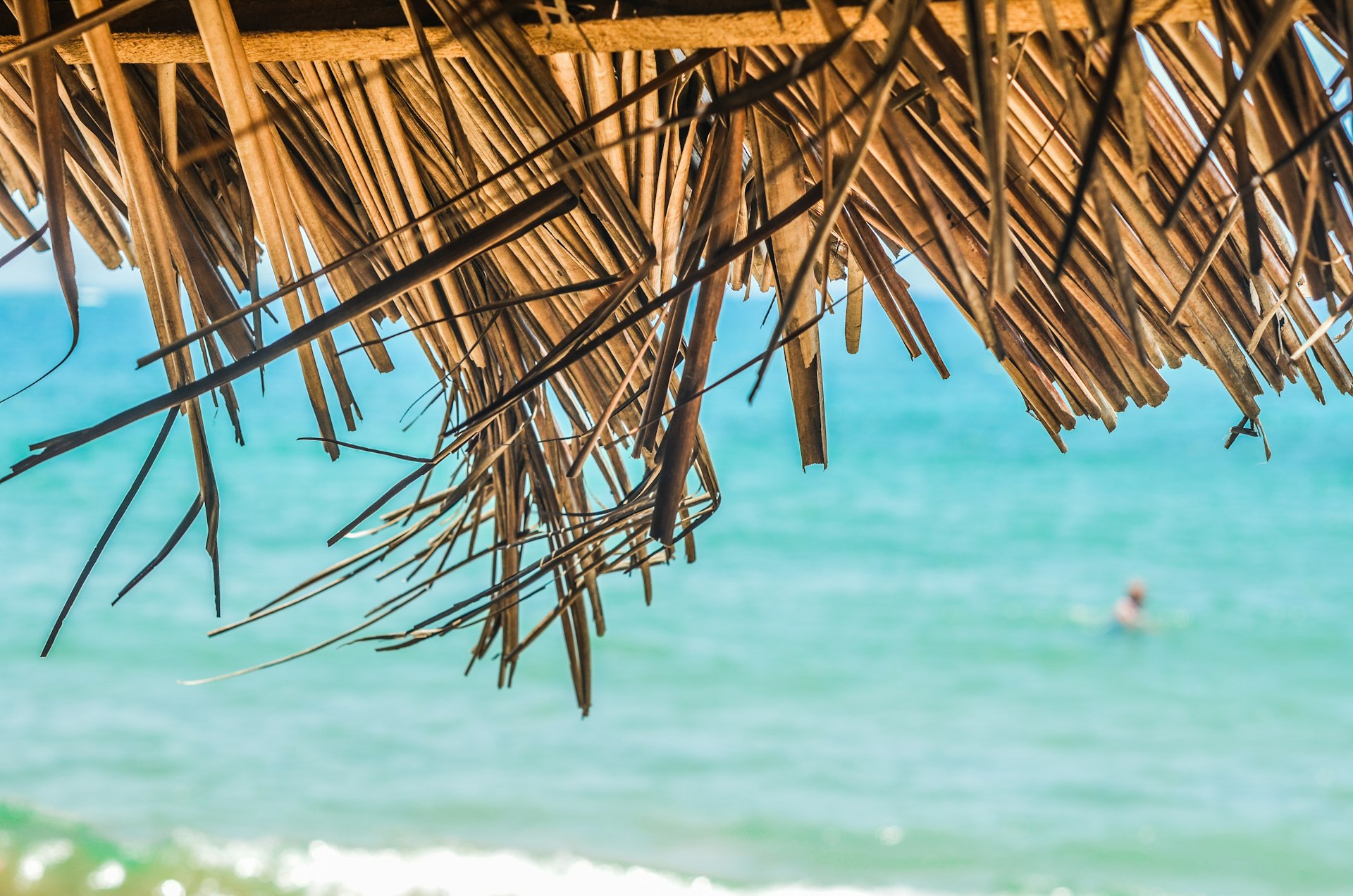 brown coconut hut near sea during daytime