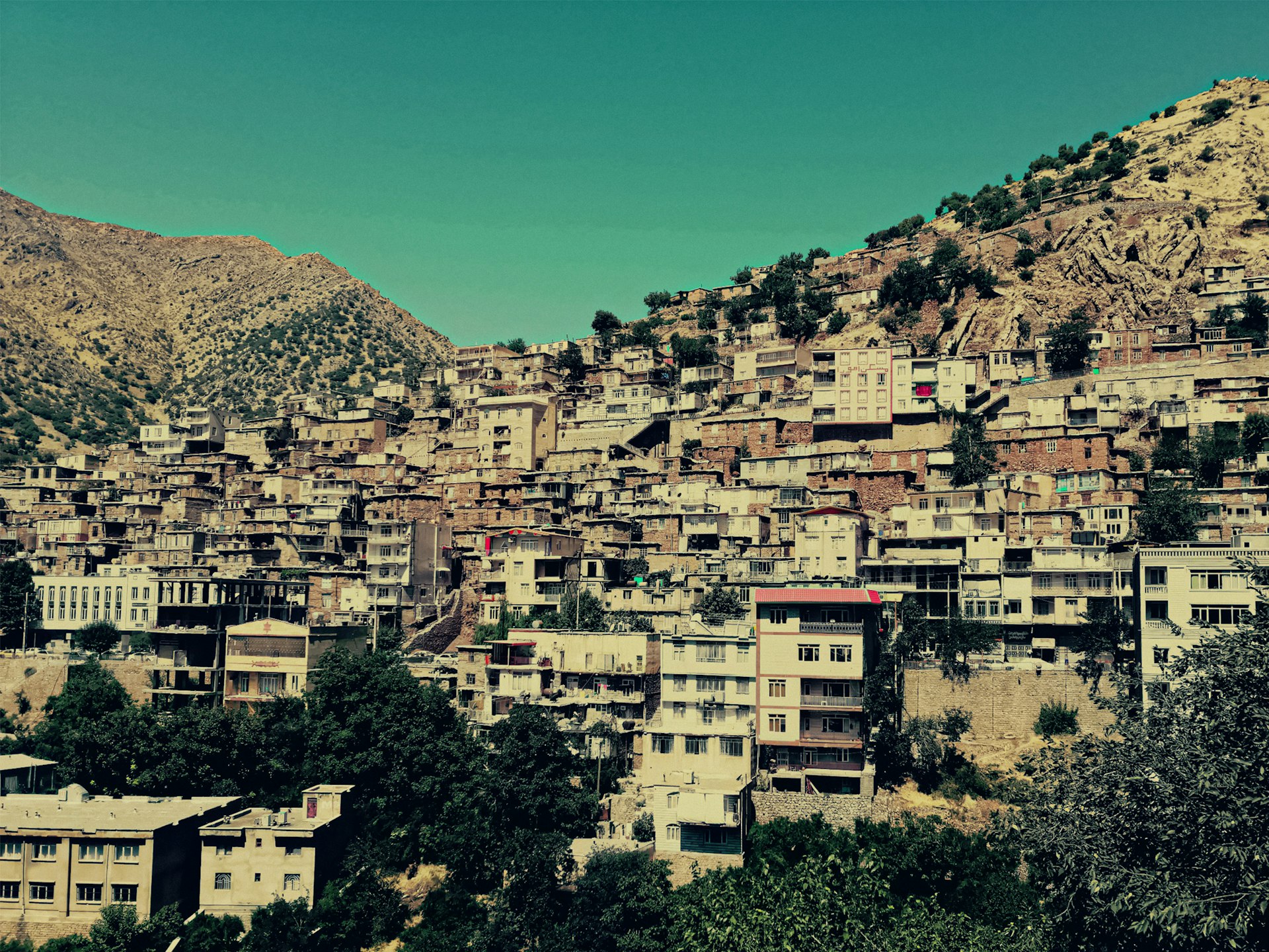 white and brown concrete houses near green trees under blue sky during daytime