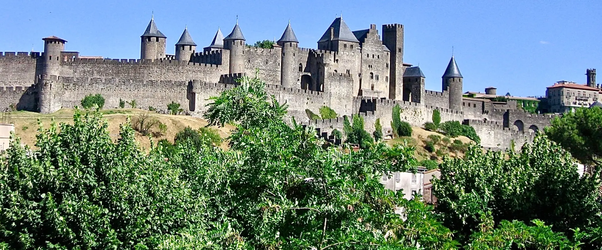green trees near gray castle