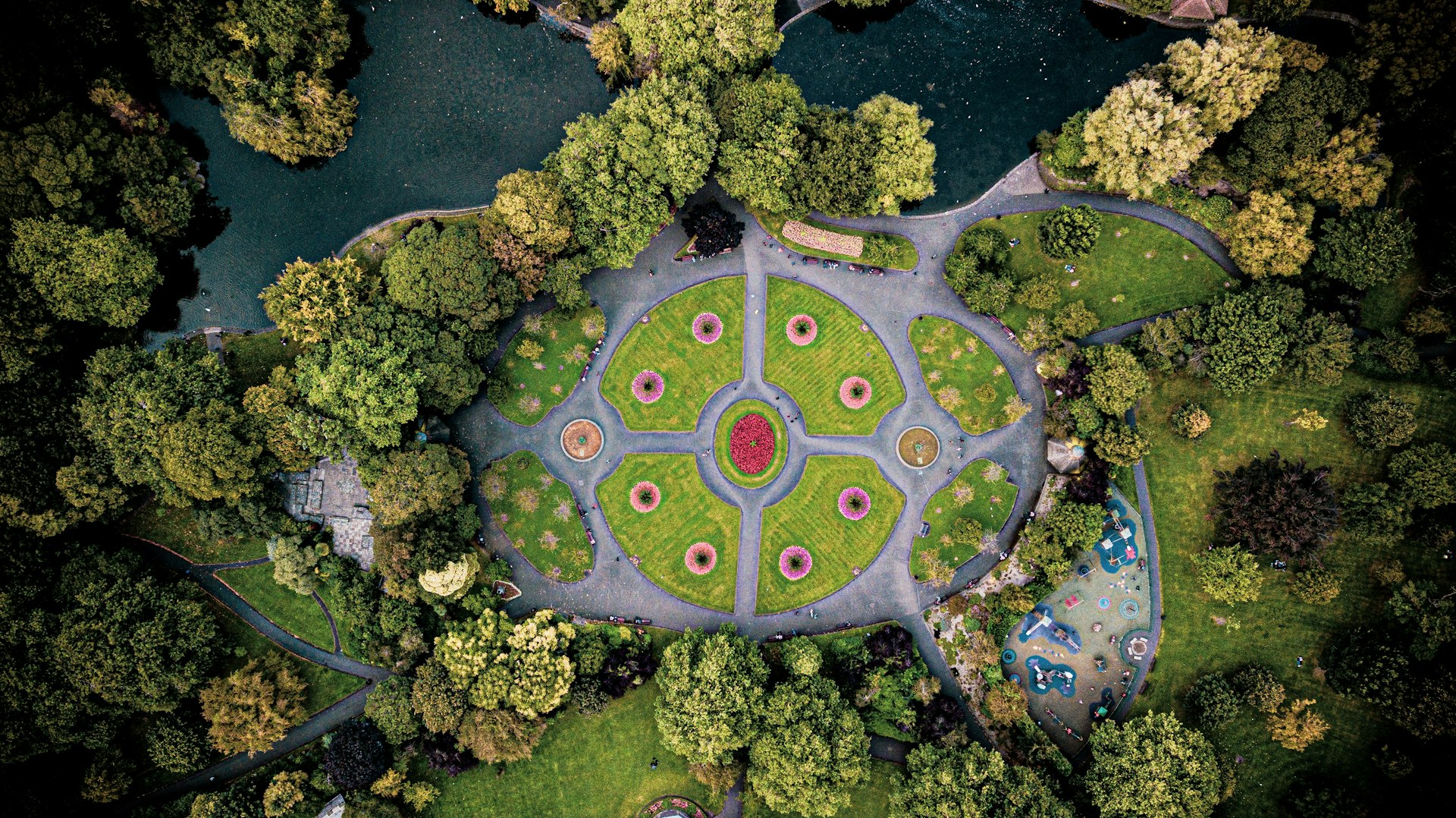 aerial photo forest