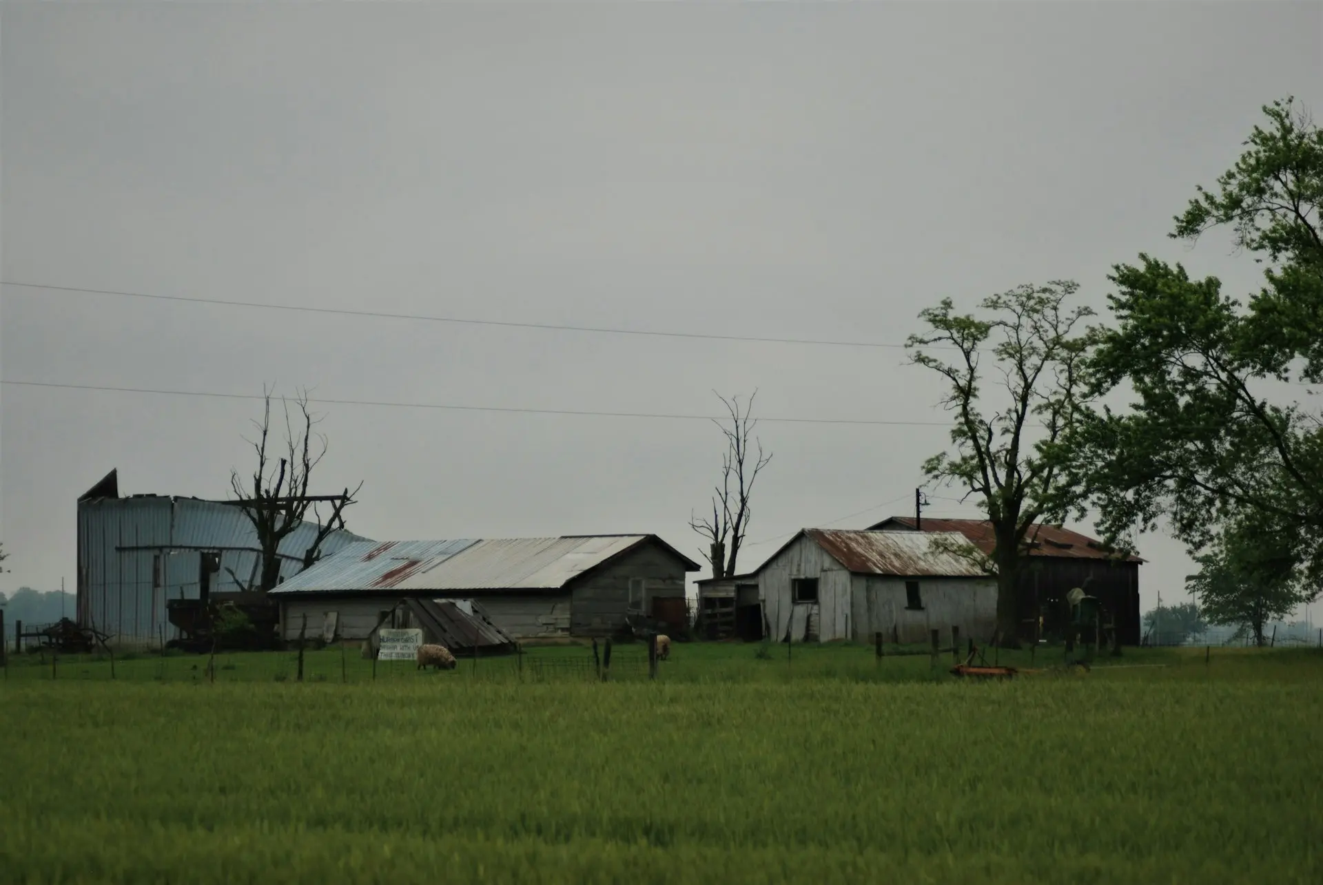 green grass field near house during daytime