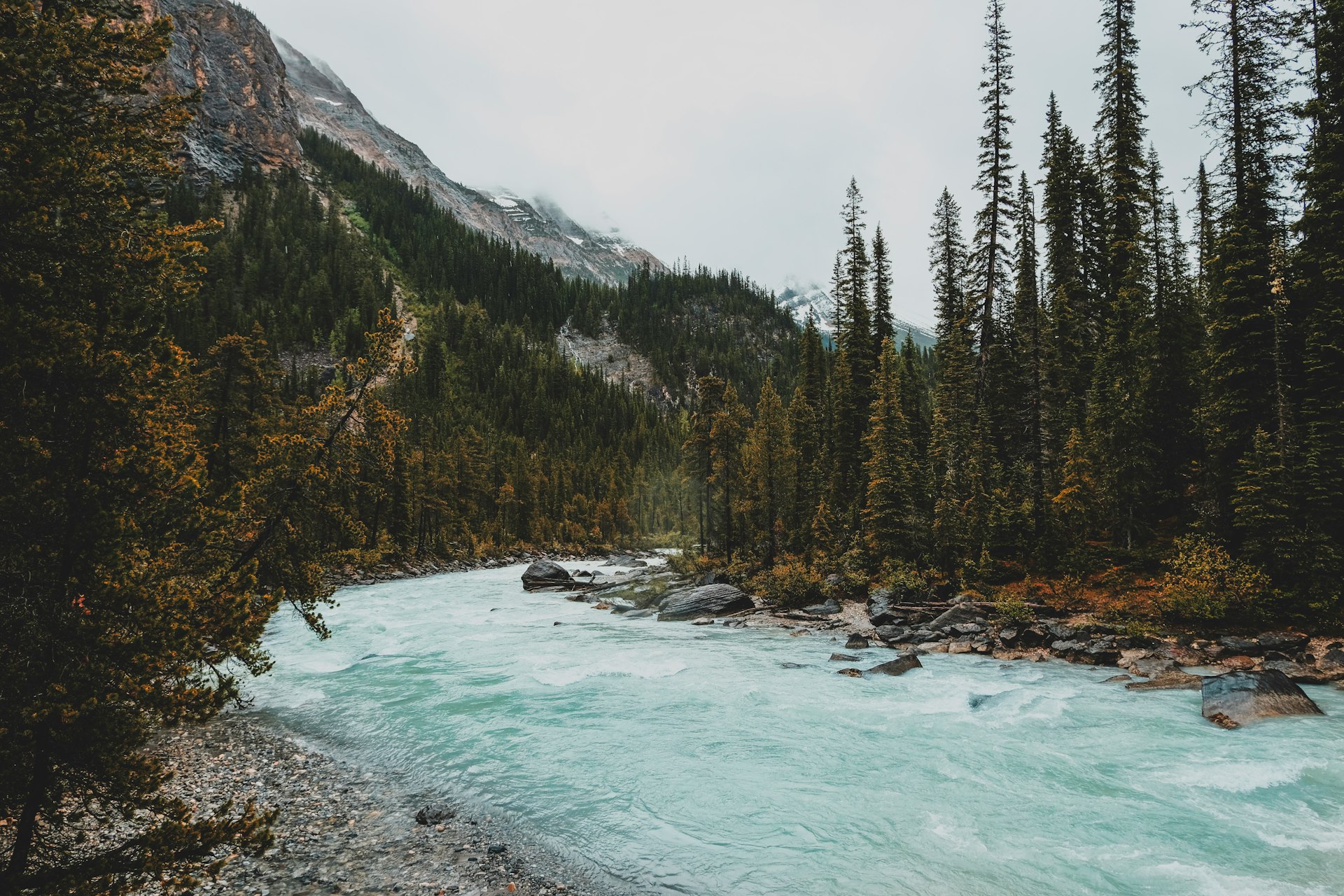 green pine trees beside river under white clouds during daytime