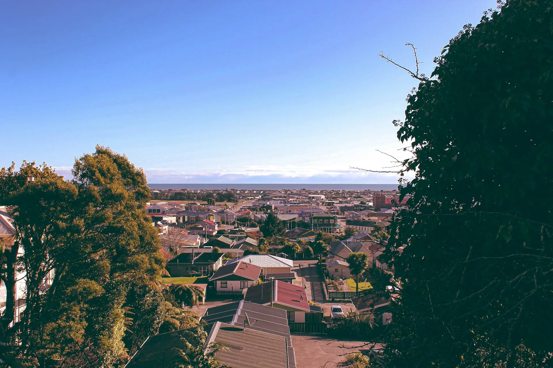 aerial photo of houses and trees