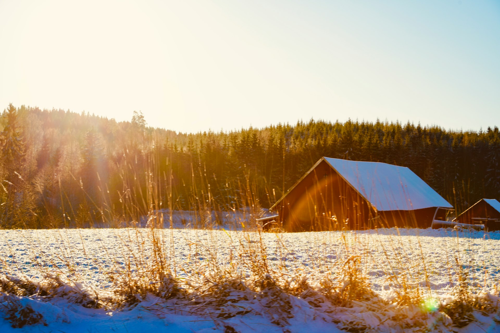 A snow covered field with a barn in the background