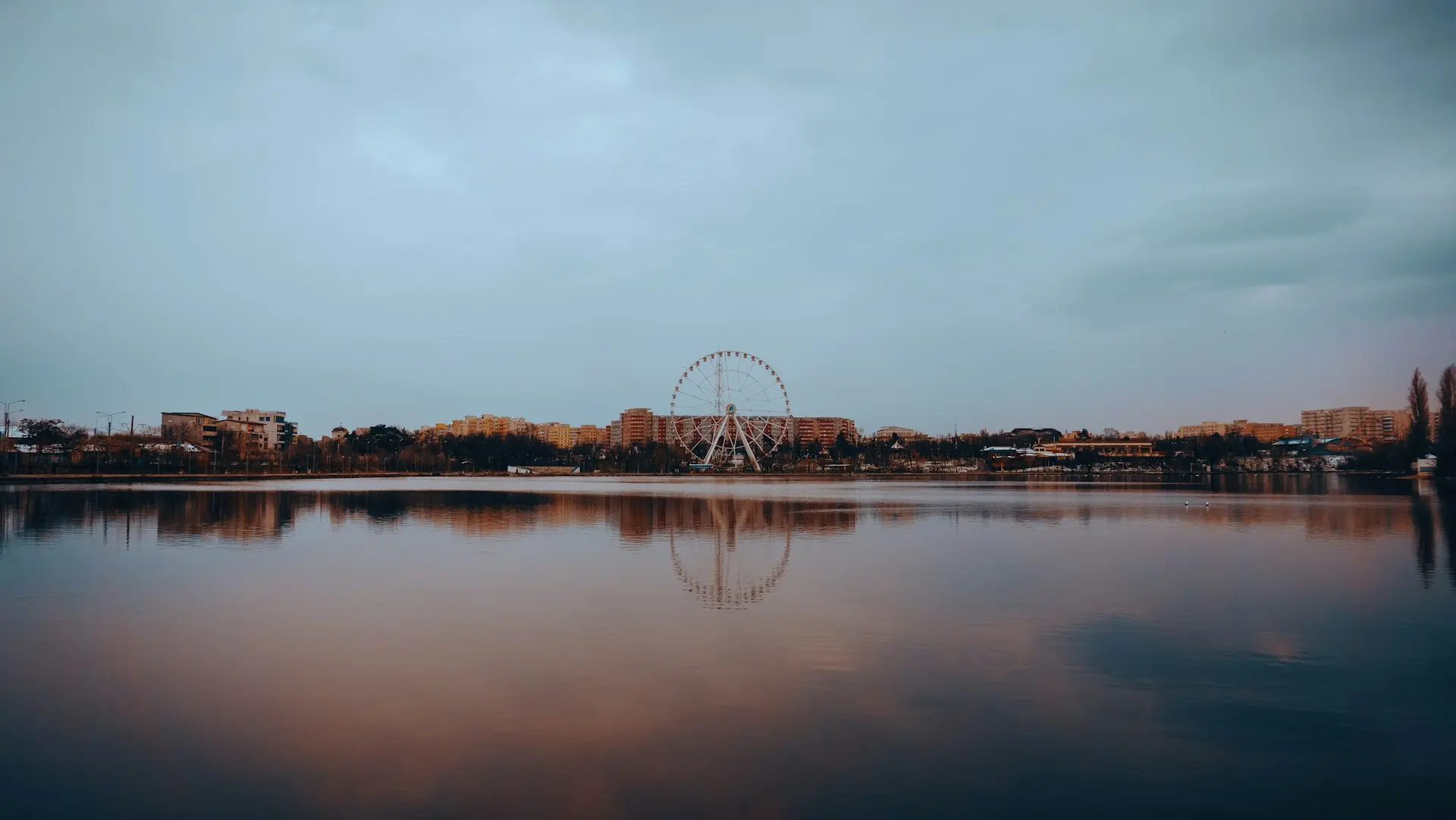 body of water near trees and ferris wheel during daytime