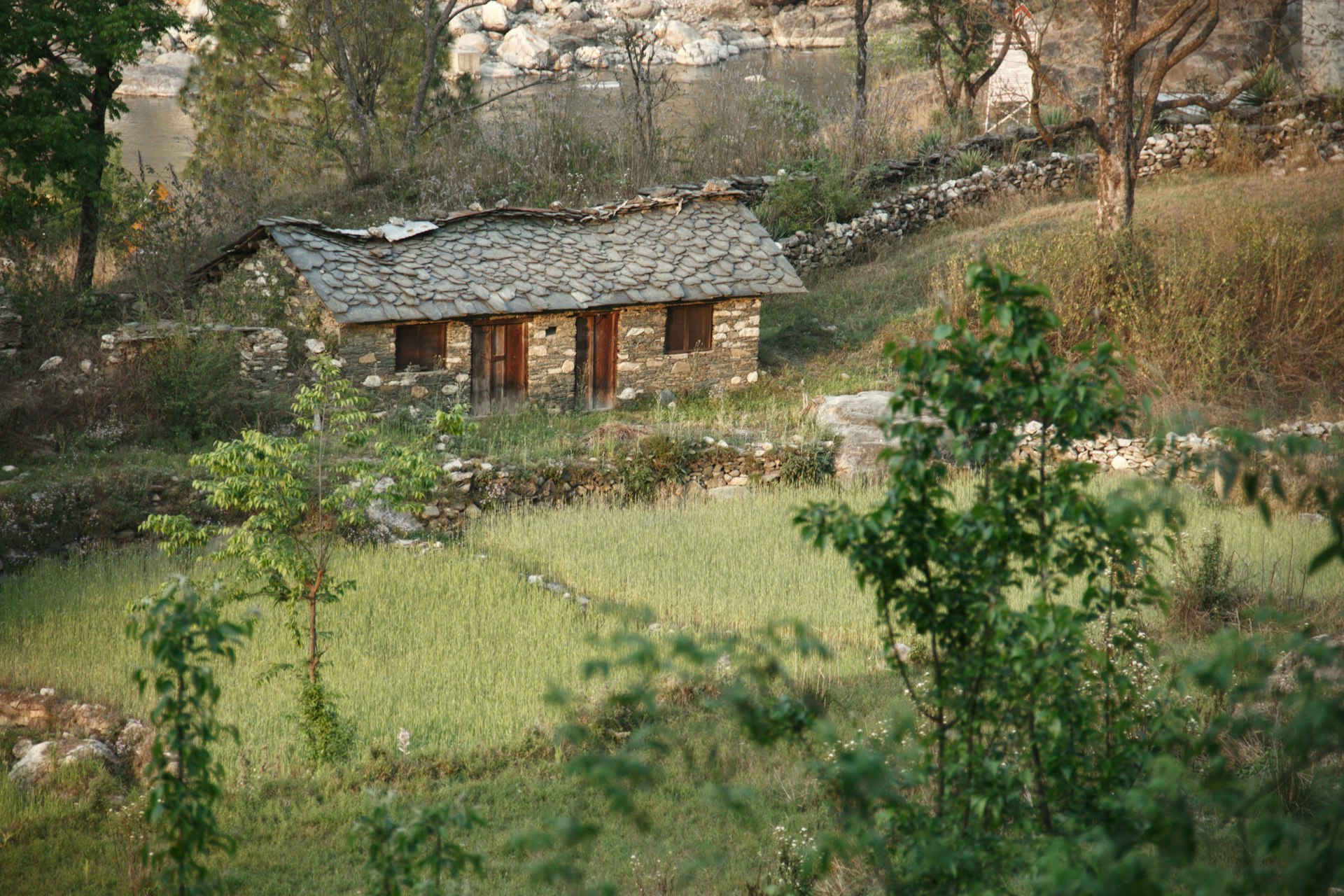 a house in a field