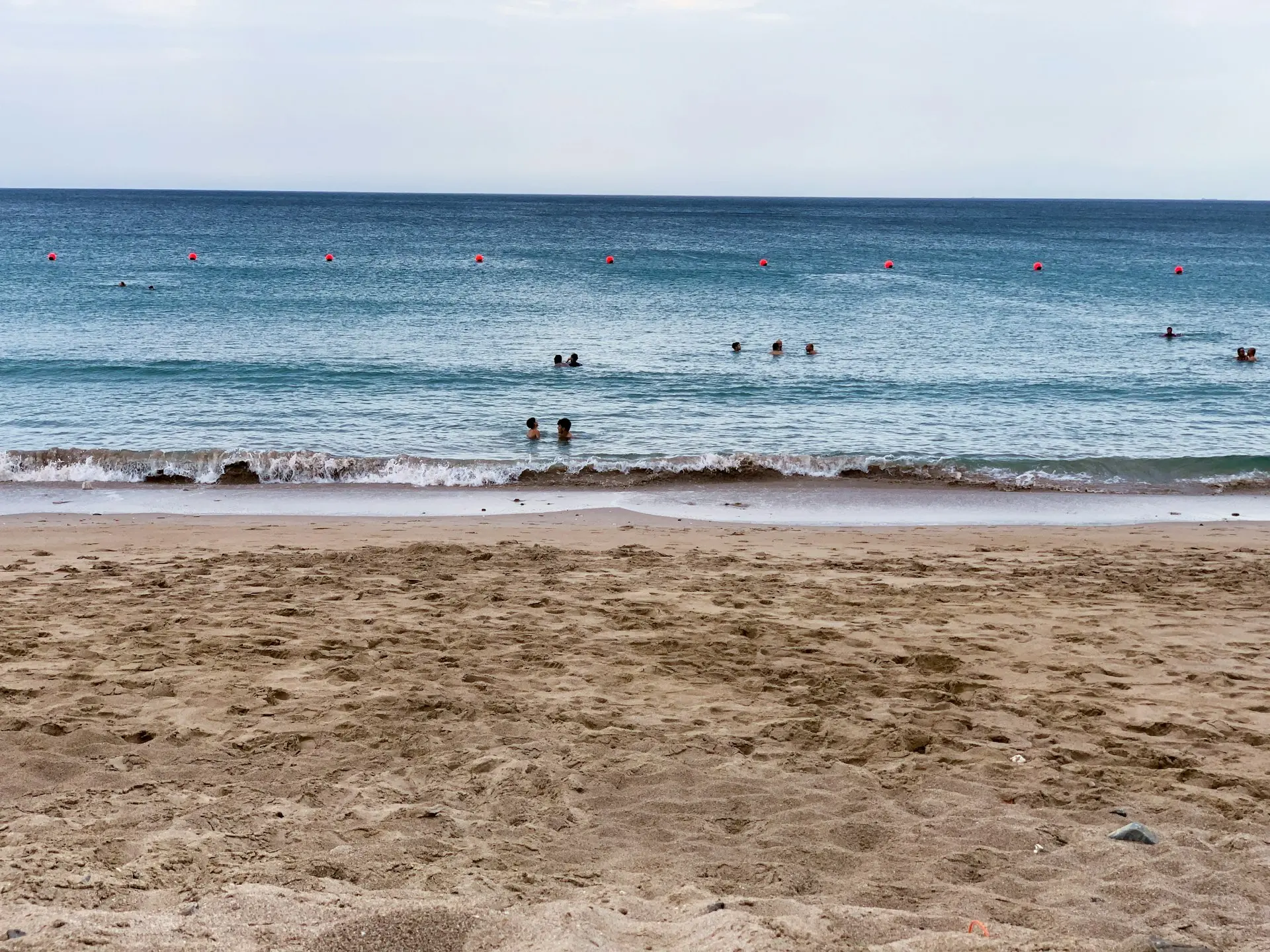 people on beach during daytime