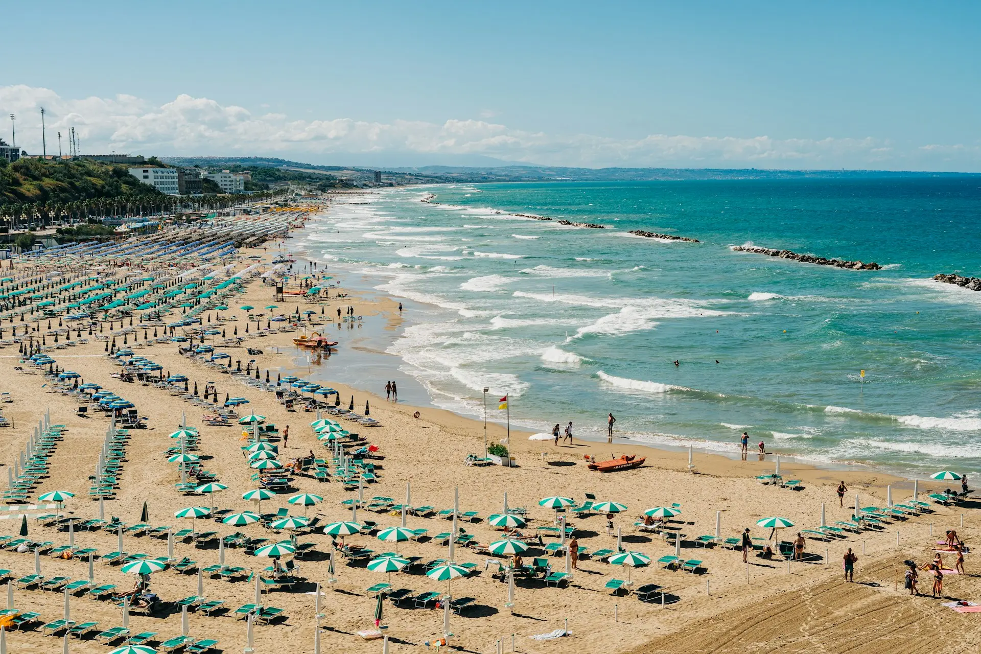 people on beach during daytime