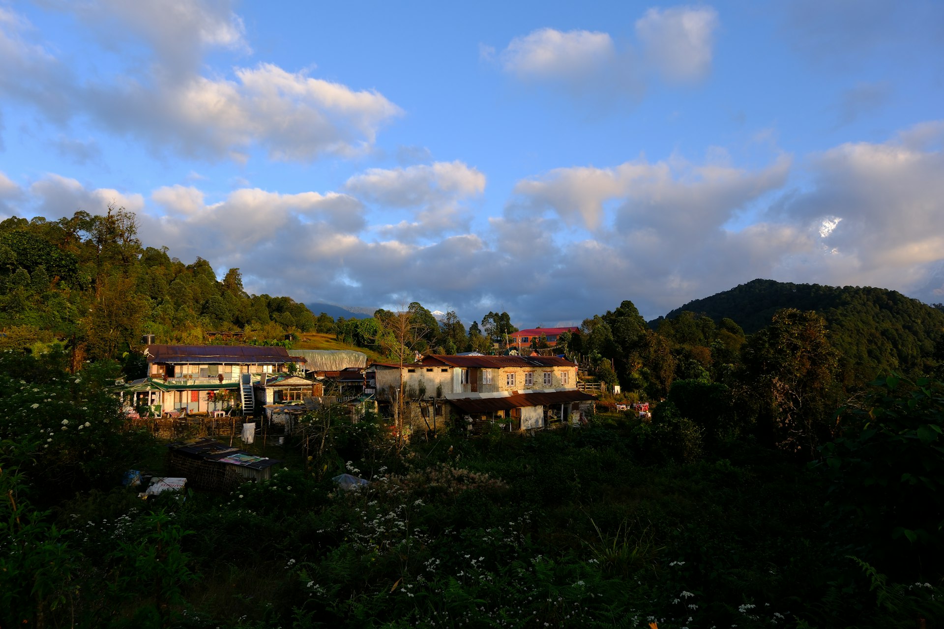 A house in the middle of a forest under a cloudy sky