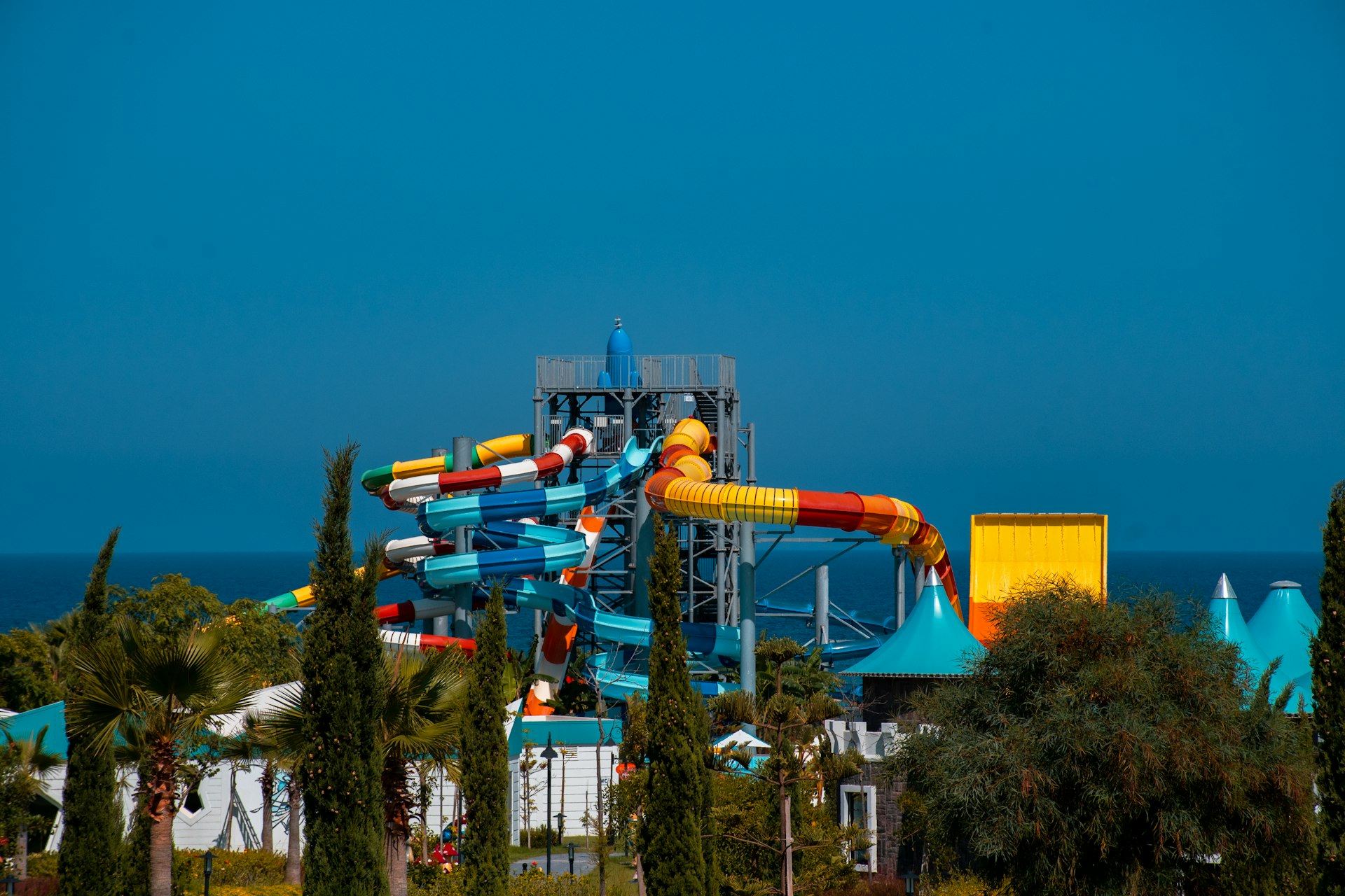 blue yellow and red plastic toy