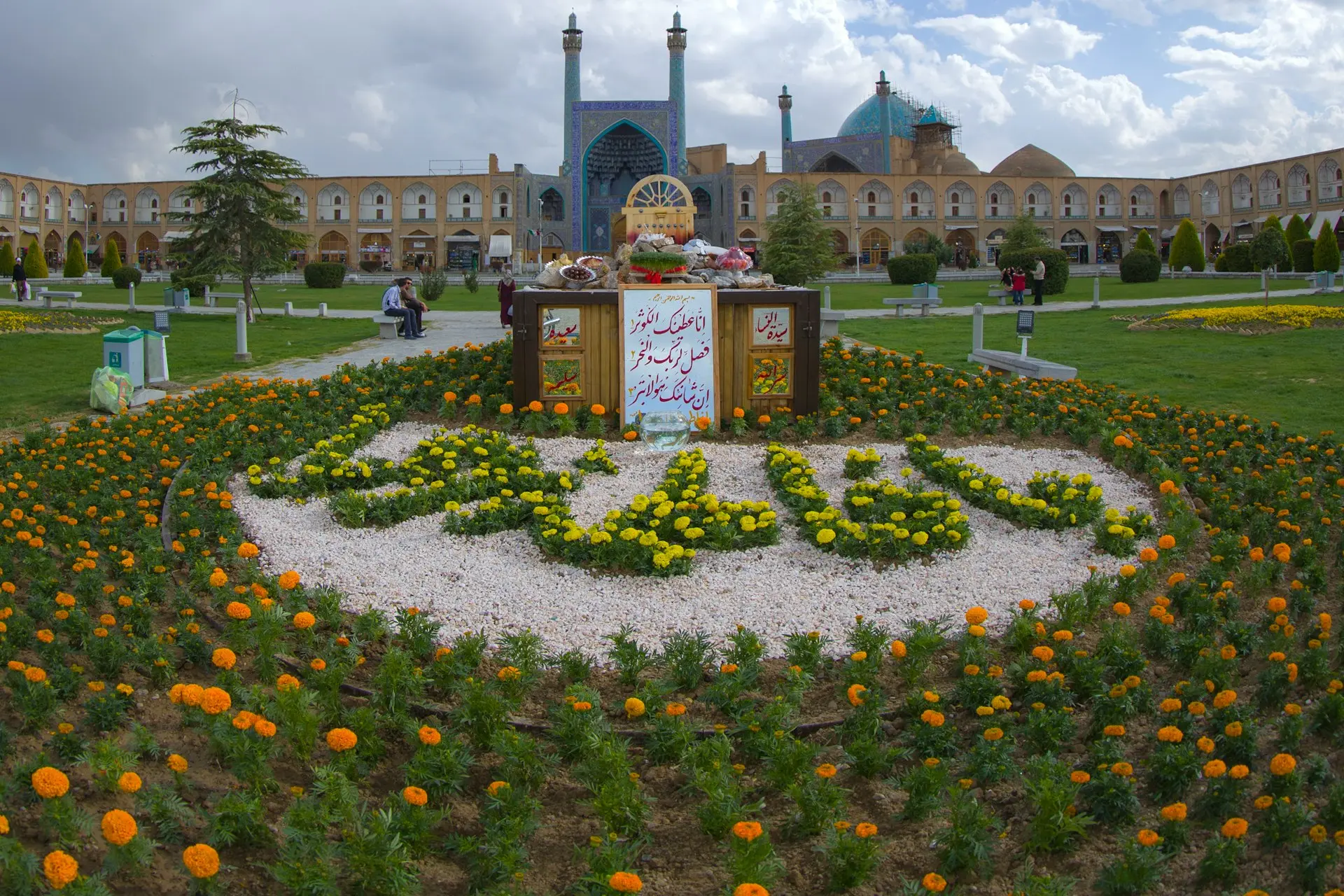 flower field in bloom during daytime