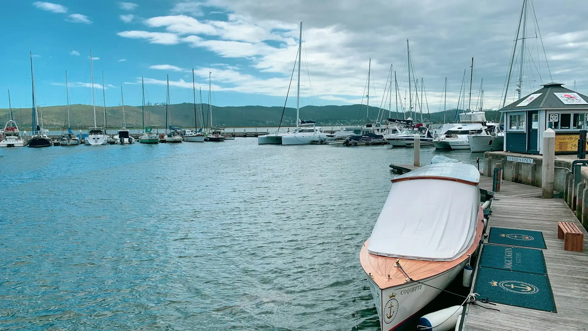 white and brown boat on sea during daytime