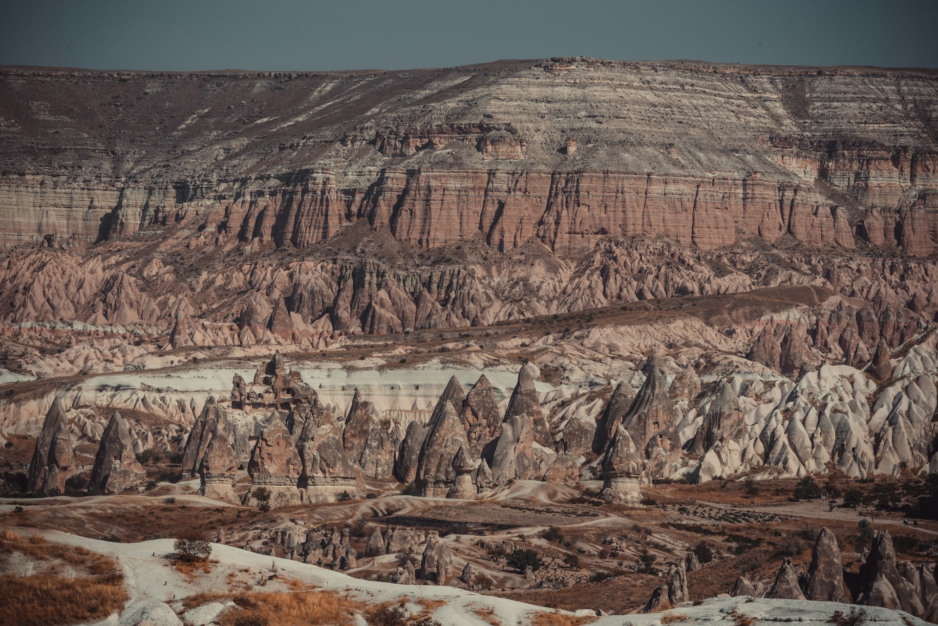 brown and gray rock formation