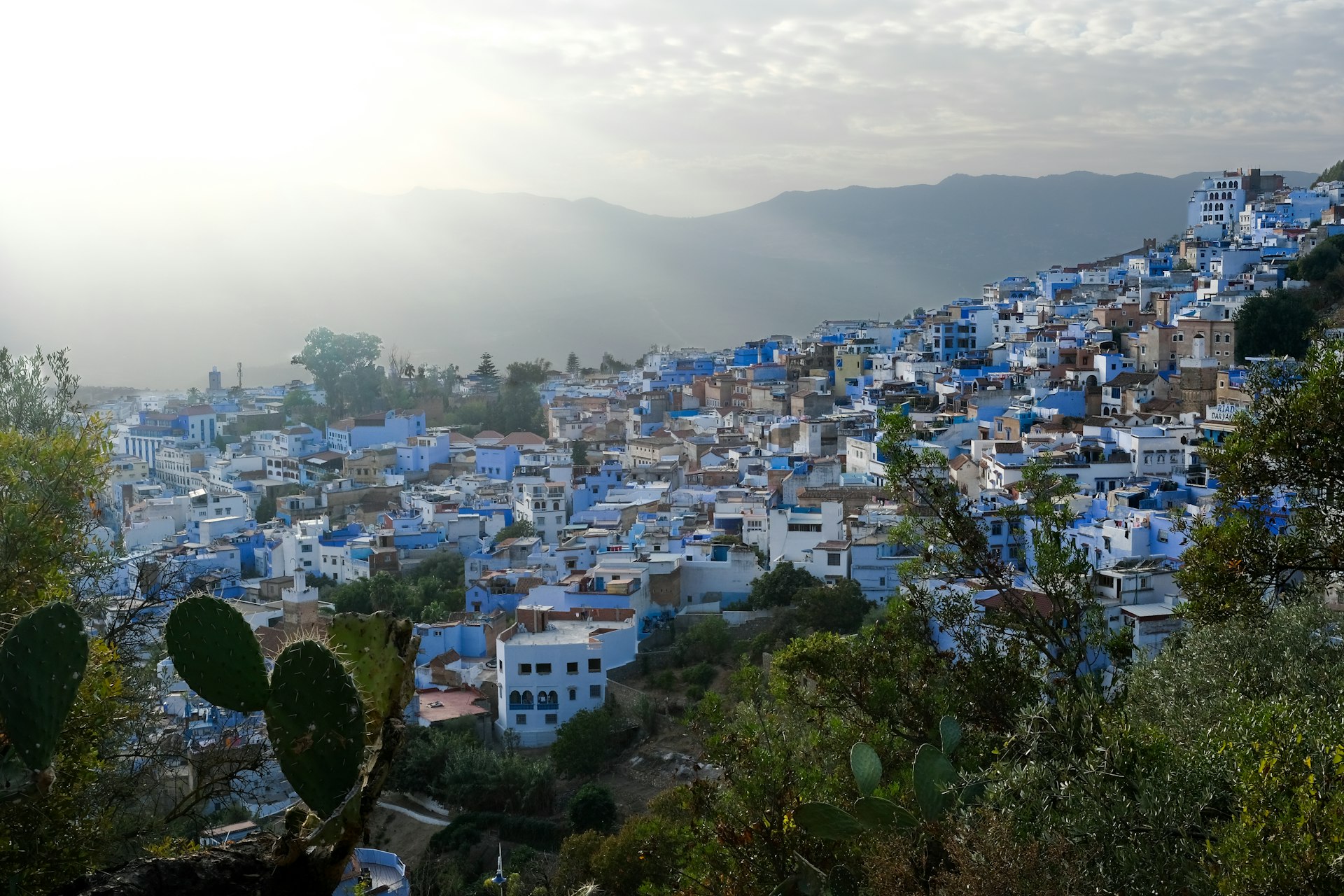 A view of a blue city from a hill