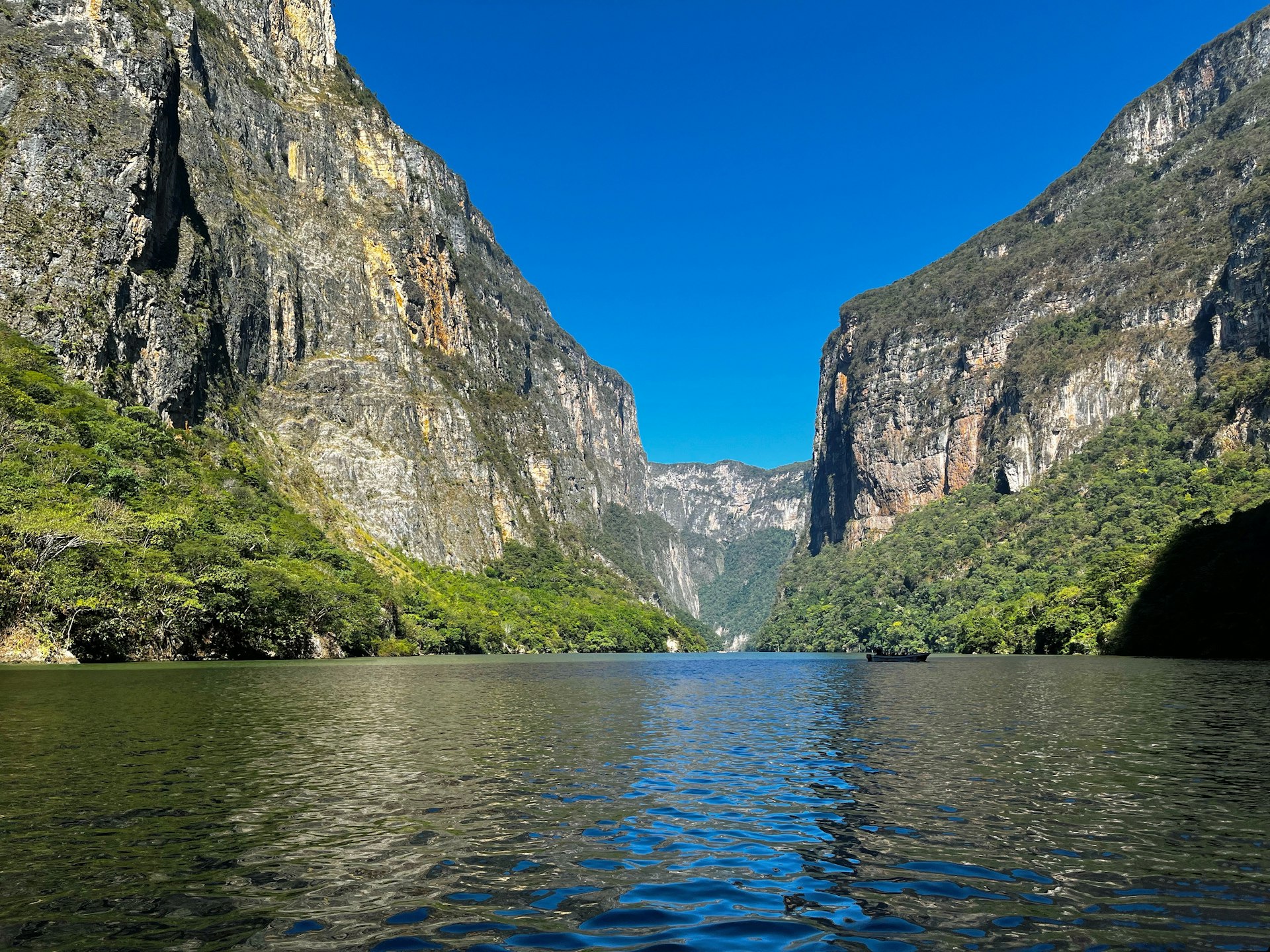 a body of water surrounded by mountains and trees