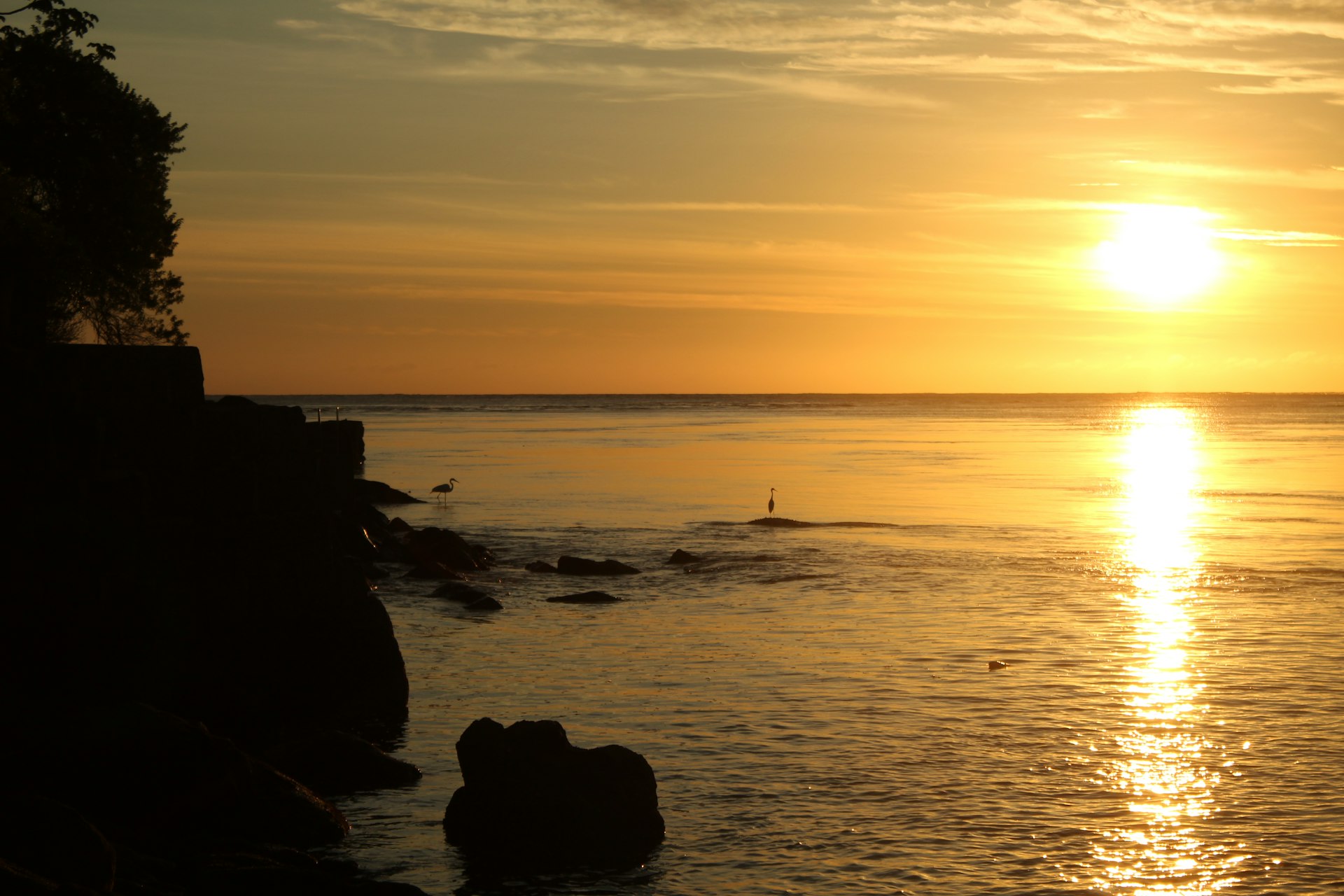 body of water during golden hour