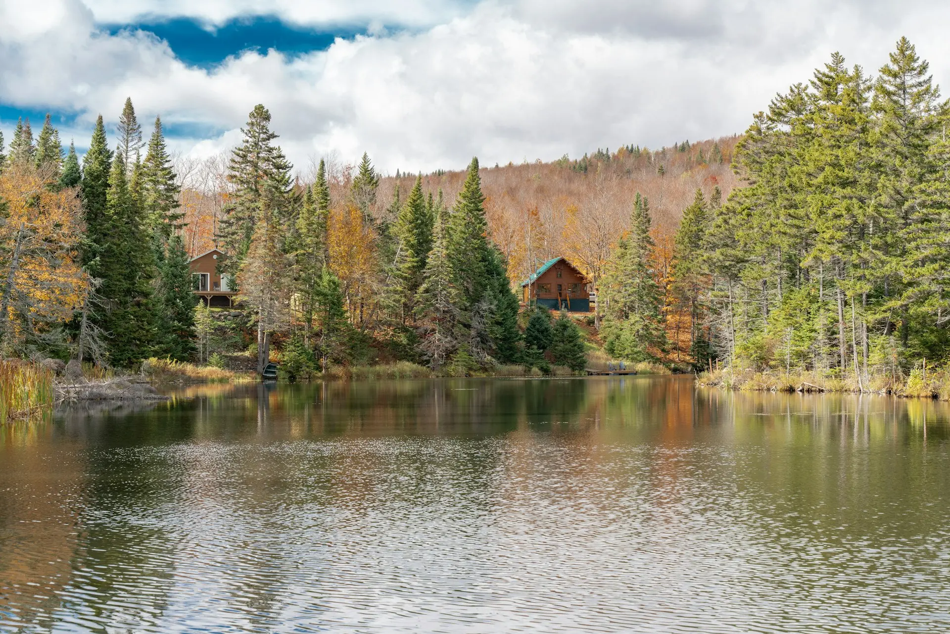 brown house near green trees and lake during daytime
