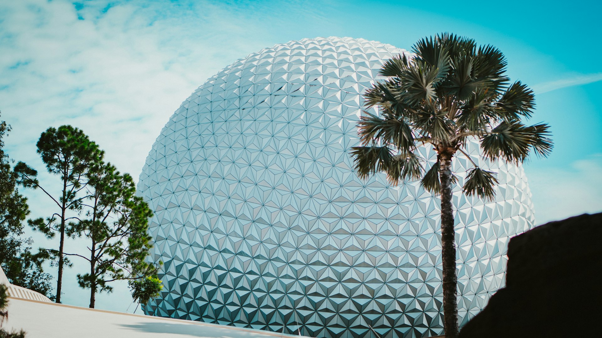 a large white ball with a palm tree in front of it