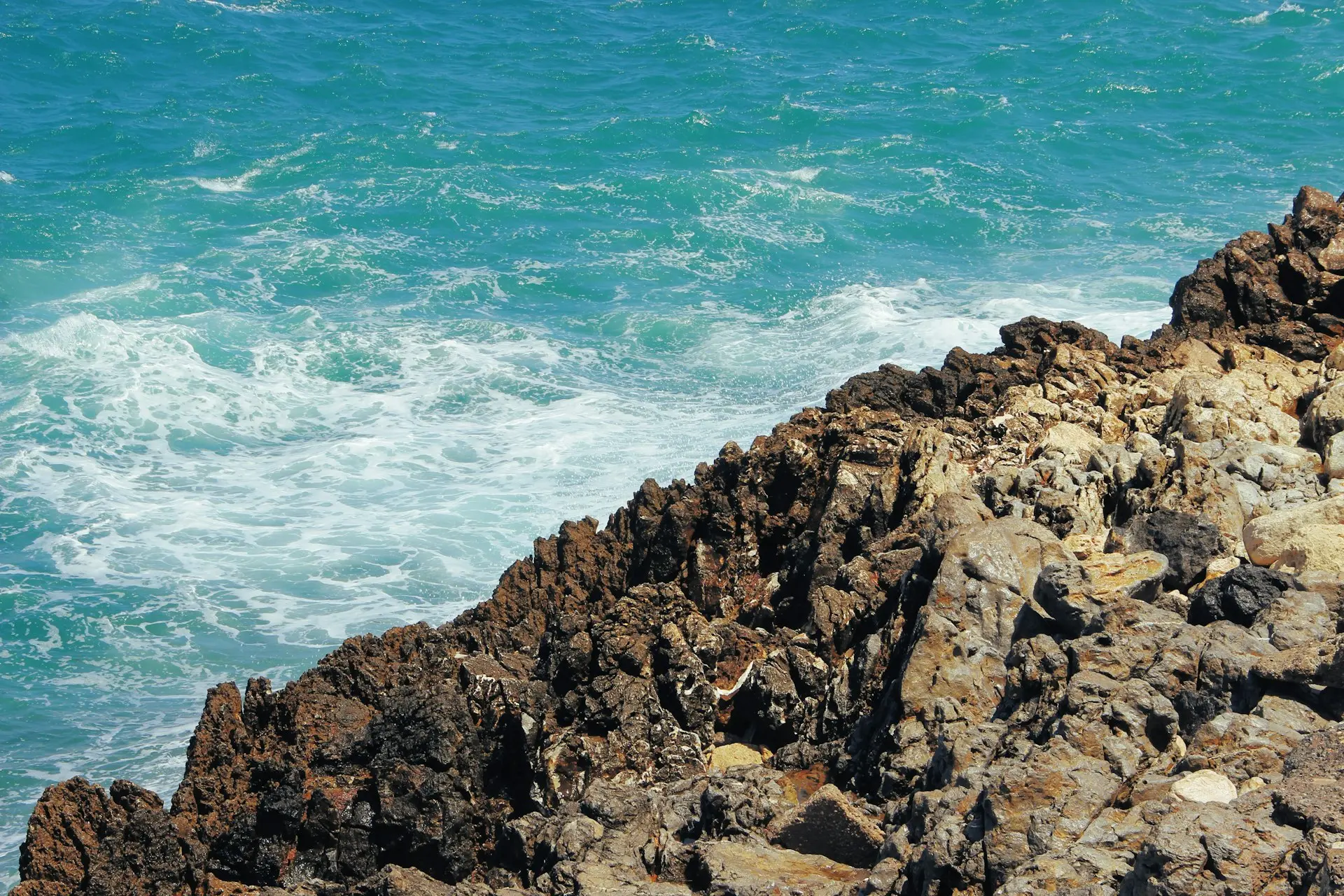 a bird sitting on a rock near the ocean