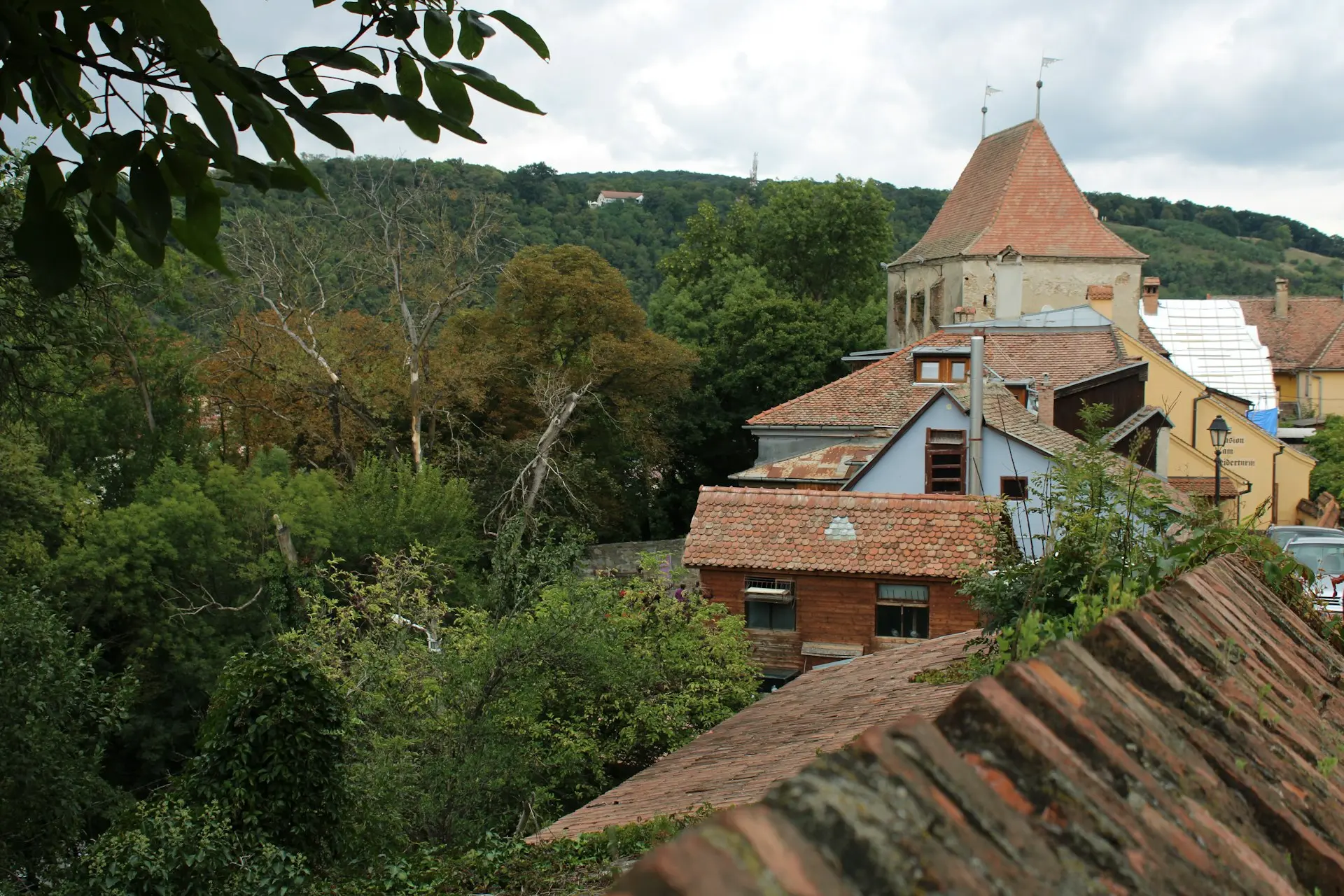 a house with trees around it