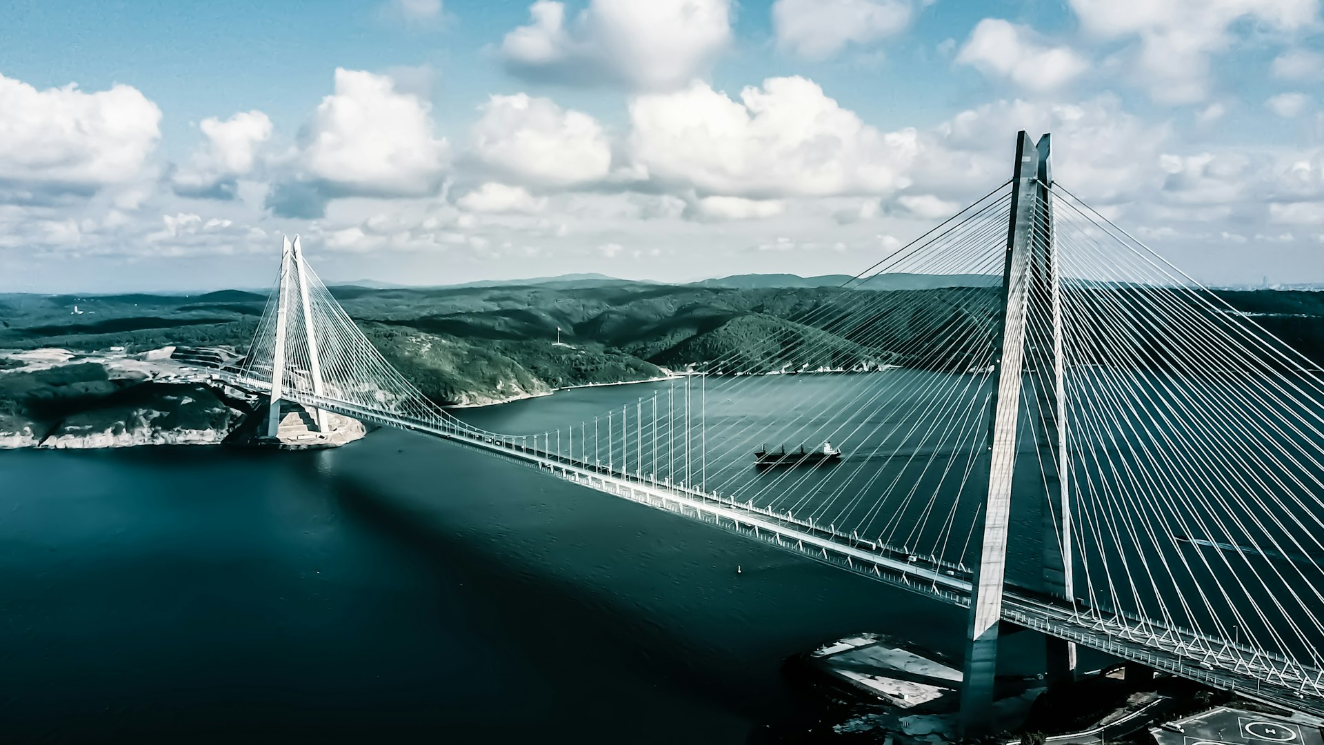 aerial photography of bridge