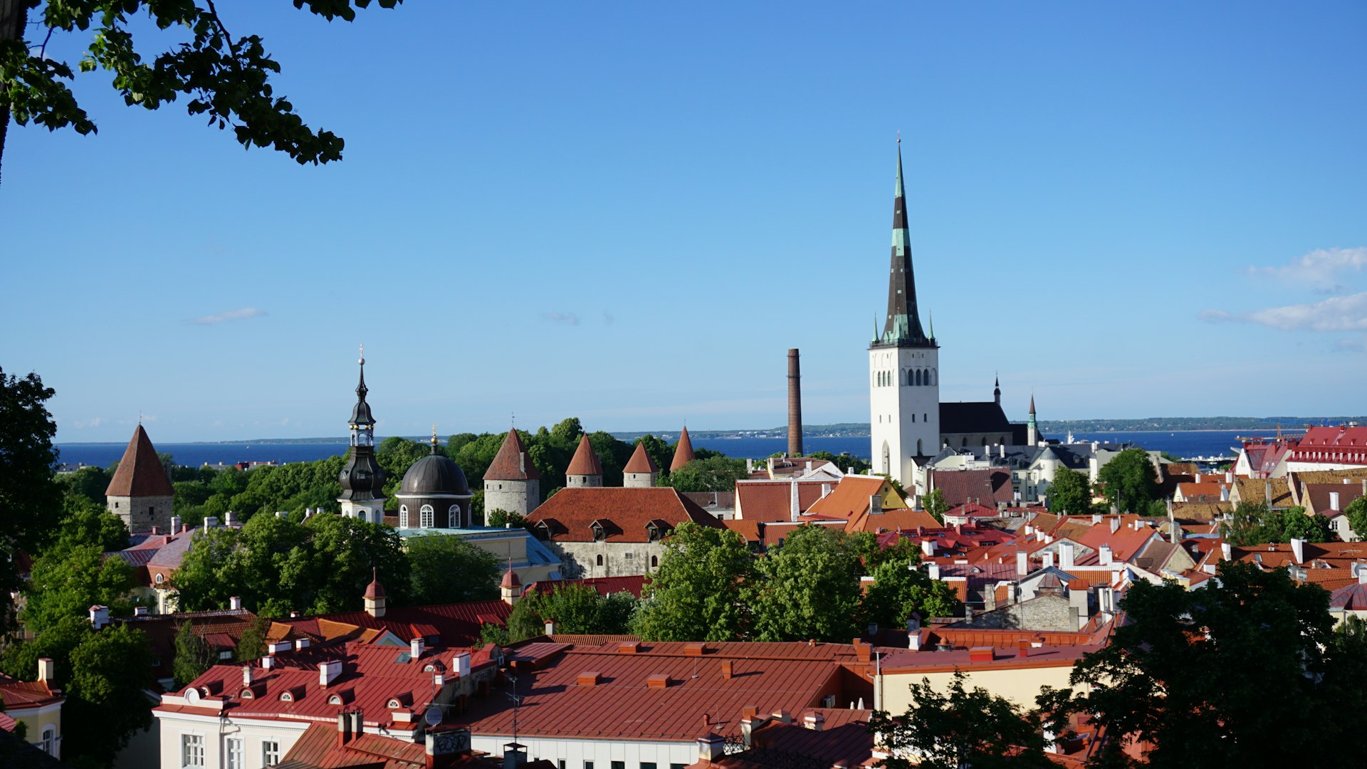 A view of a city from a hill