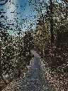 unsplash_nw3oFGkmt-0_Nainital .webp.jpg