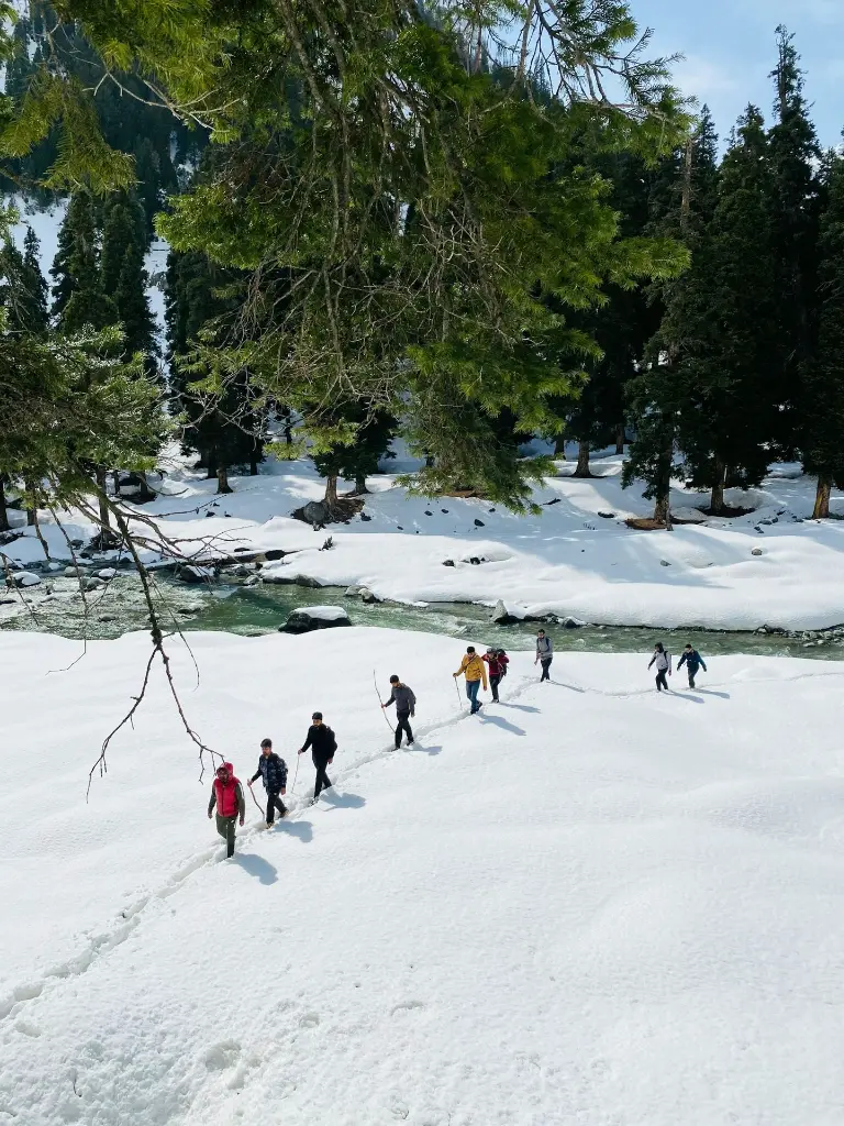 unsplash_QY8fml22qKg_Pahalgam.webp.jpg.jpg.jpg.jpg