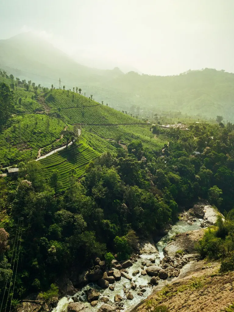 unsplash_k-ejtalL1Ik_Kerala.webp.jpg