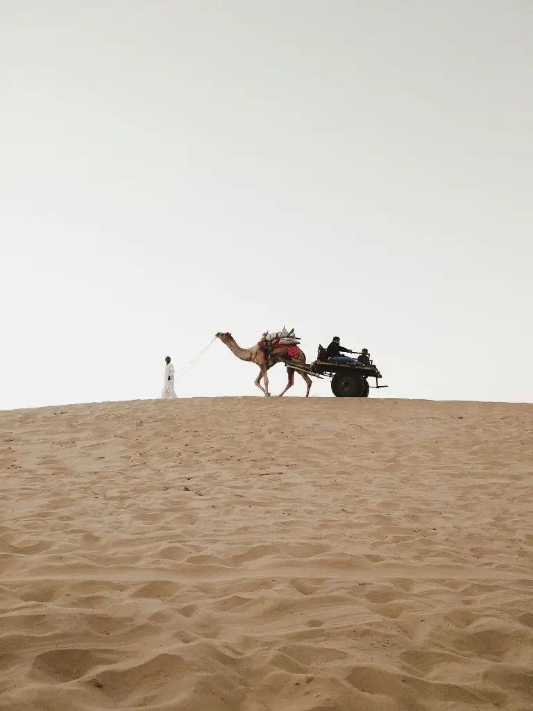 unsplash_vFvfgCnrW4A_Rajasthan.webp