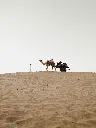 unsplash_vFvfgCnrW4A_Rajasthan.webp