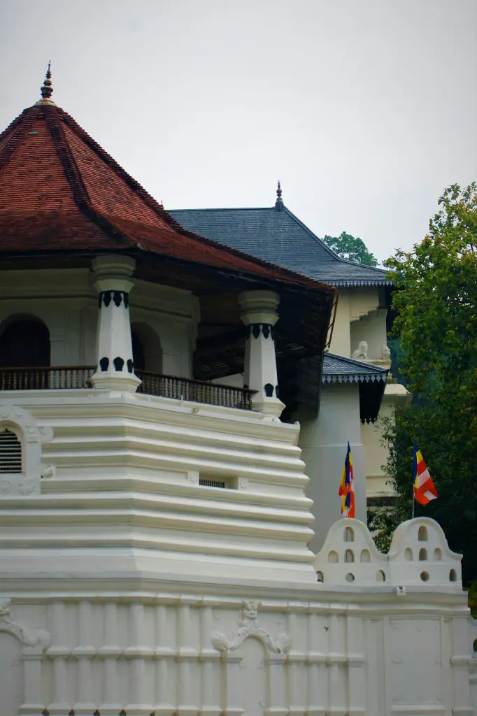 unsplash_hkN5rxRwTbg_Pinnawala .webp.jpg.jpg