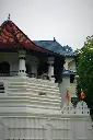 unsplash_hkN5rxRwTbg_Pinnawala .webp.jpg.jpg
