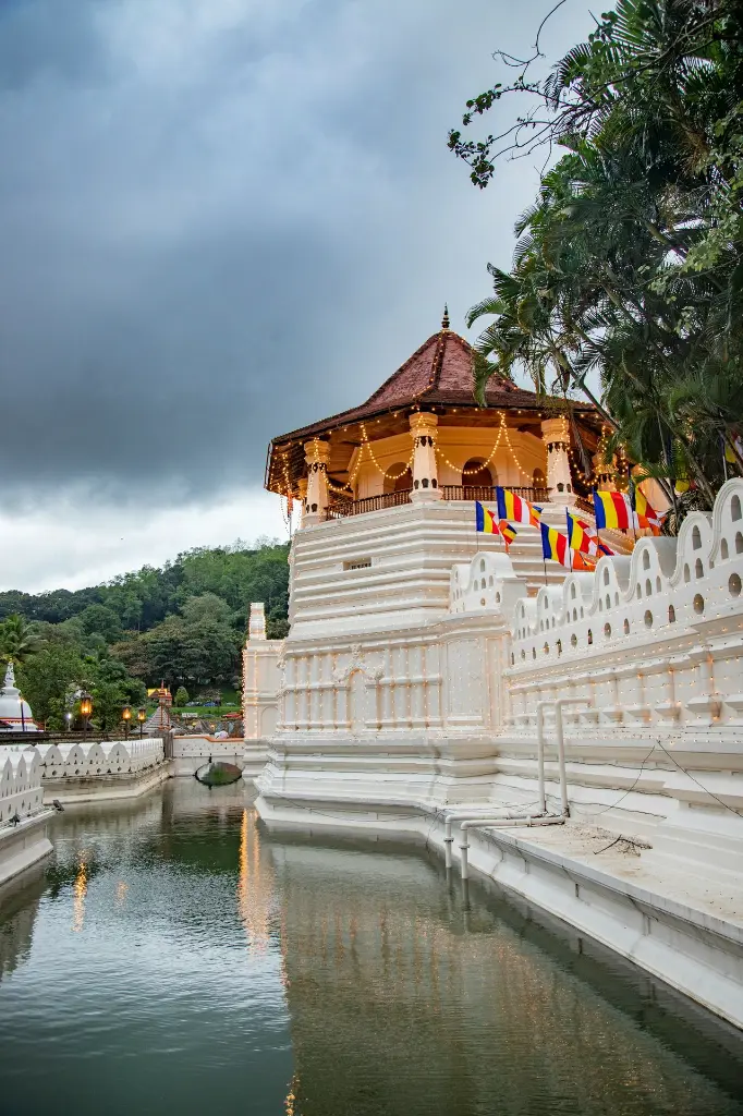 unsplash_isdvqf04MDk_Pinnawala .webp.jpg.jpg.jpg