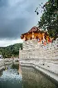 unsplash_isdvqf04MDk_Pinnawala .webp.jpg.jpg.jpg