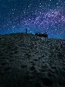 unsplash_bWTCA67i2T0_Jaisalmer .webp.jpg.jpg