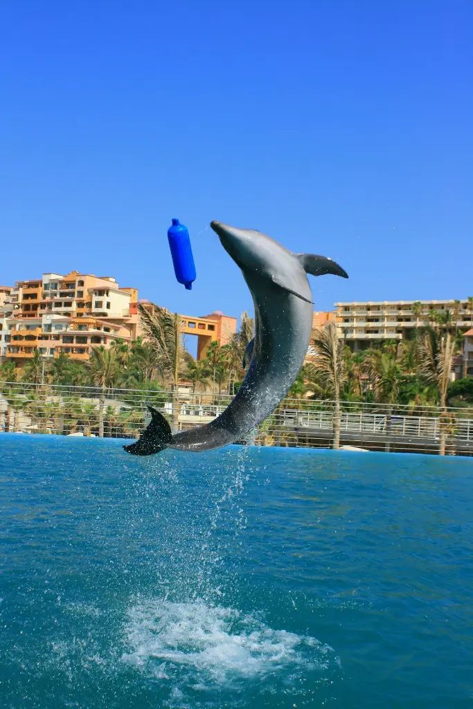 unsplash_kNxDFvz7Snw_Orlando.webp.jpg.jpg