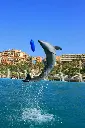 unsplash_kNxDFvz7Snw_Orlando.webp.jpg.jpg