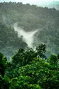 unsplash_60tataLkJ0U_Darjeeling .webp.jpg