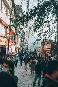 unsplash_mFZfgvvm86Q_Darjeeling .webp.jpg.jpg