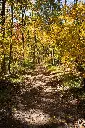 unsplash_AjY97YEnaMs_Jim Corbet.webp.jpg