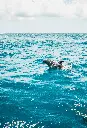 unsplash_rOt_HpWQDDI_geothermal .webp.jpg.jpg.jpg.jpg