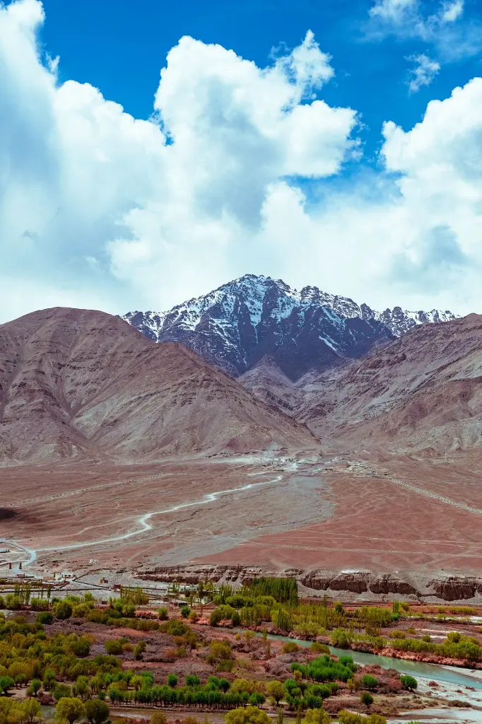 unsplash_URM8xZxs7wg_Leh.webp