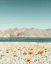 unsplash_P6DfMrUl_TU_Pangong.webp