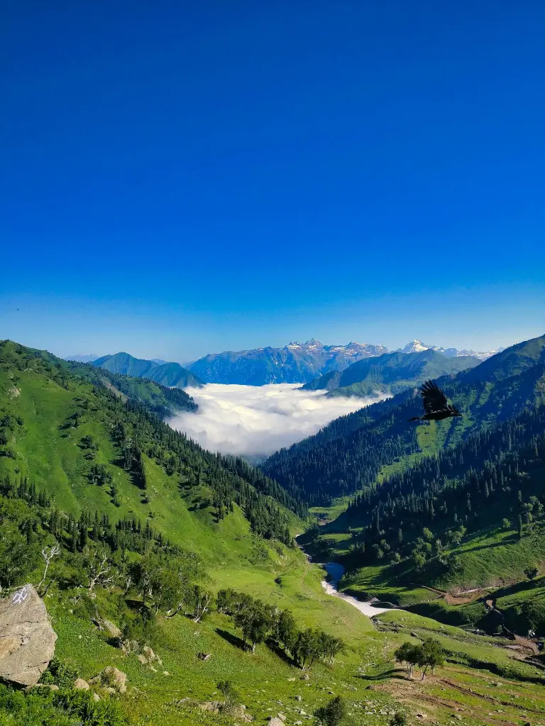 unsplash_QKvh0qhI7_U_Jammu.webp