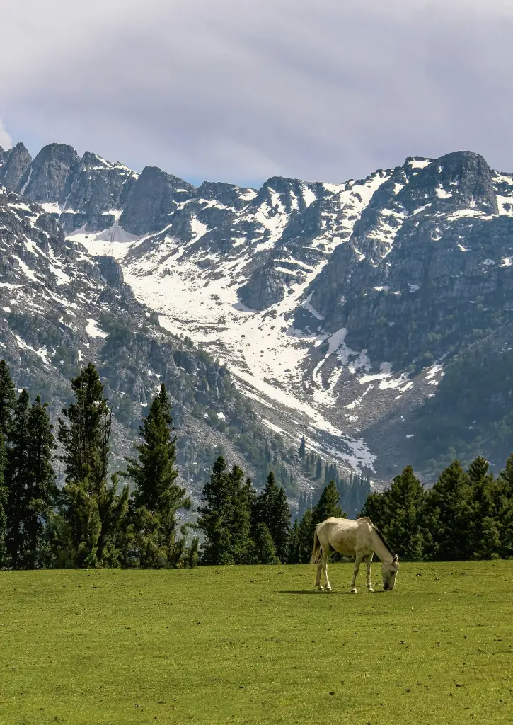unsplash_cv8PCw5BnIY_Jammu.webp.jpg