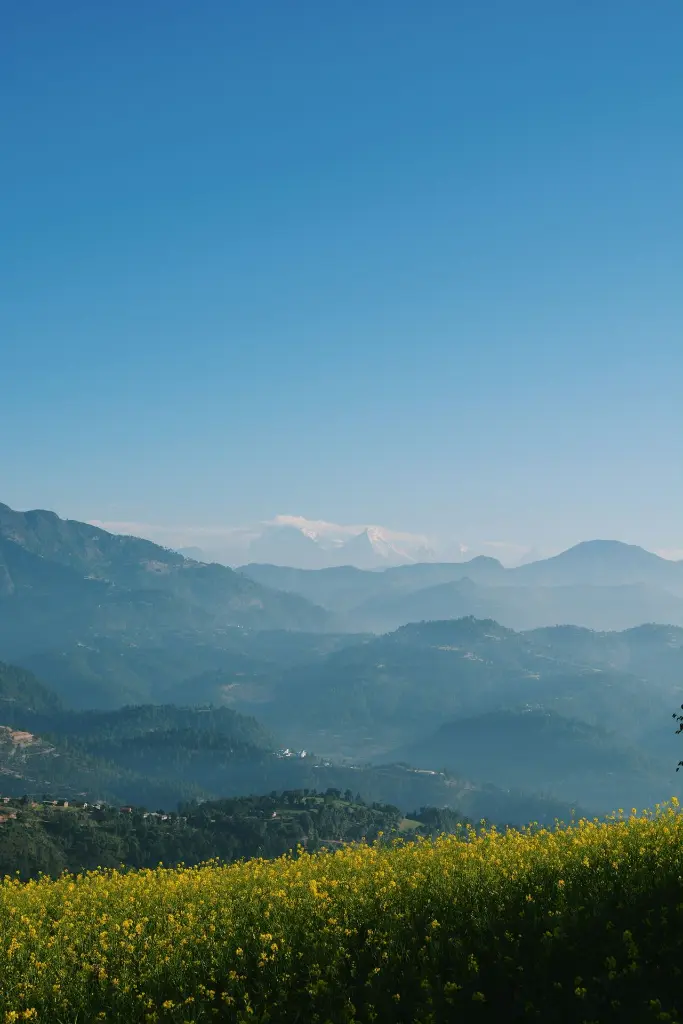 unsplash_cO9_joZ1FdA_Nepal.webp.jpg.jpg
