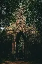 unsplash_-kNZQrVu4FM_Angkor Thom .webp