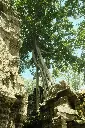 unsplash_V1_wv0VaRWo_Angkor Thom .webp.jpg.jpg