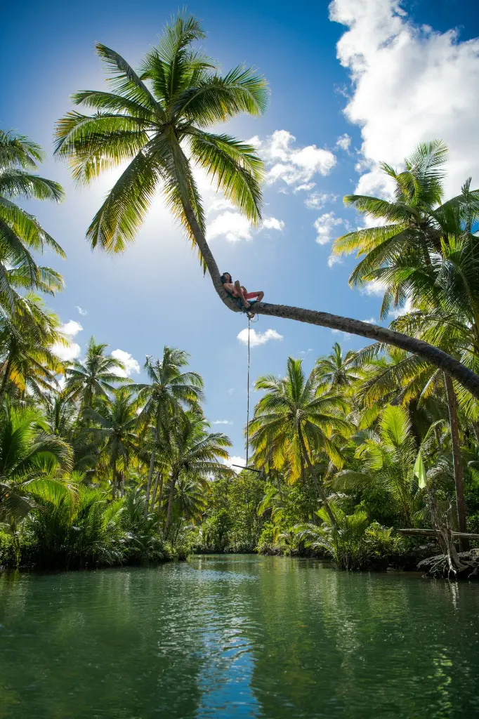 unsplash_Za4po7o-DFU_Philippines.webp.jpg.jpg.jpg